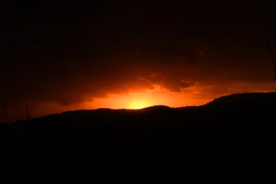 DSC_4567 (Large).JPG